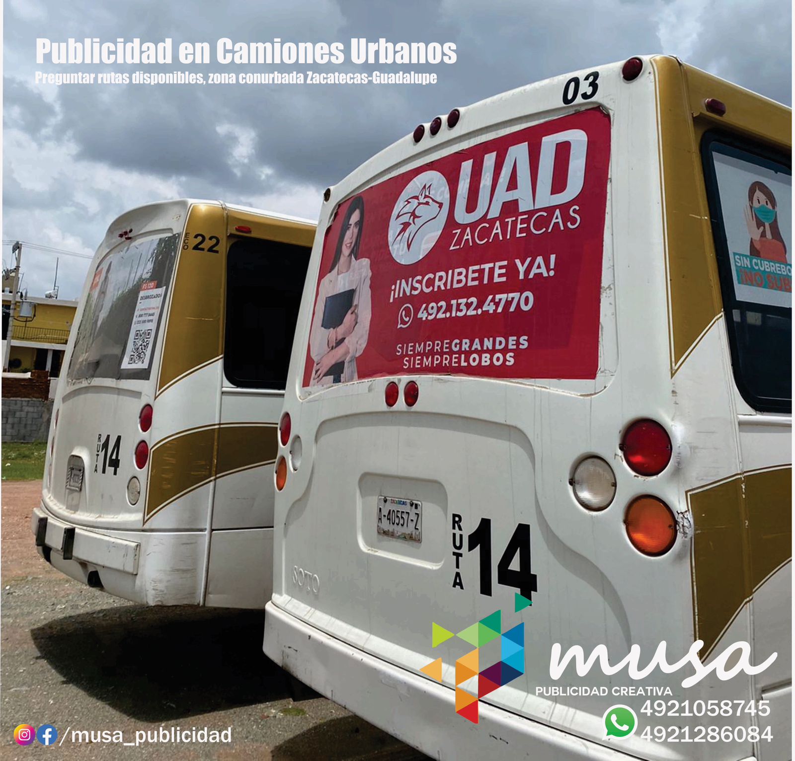 Bernardez - Zona Comercial